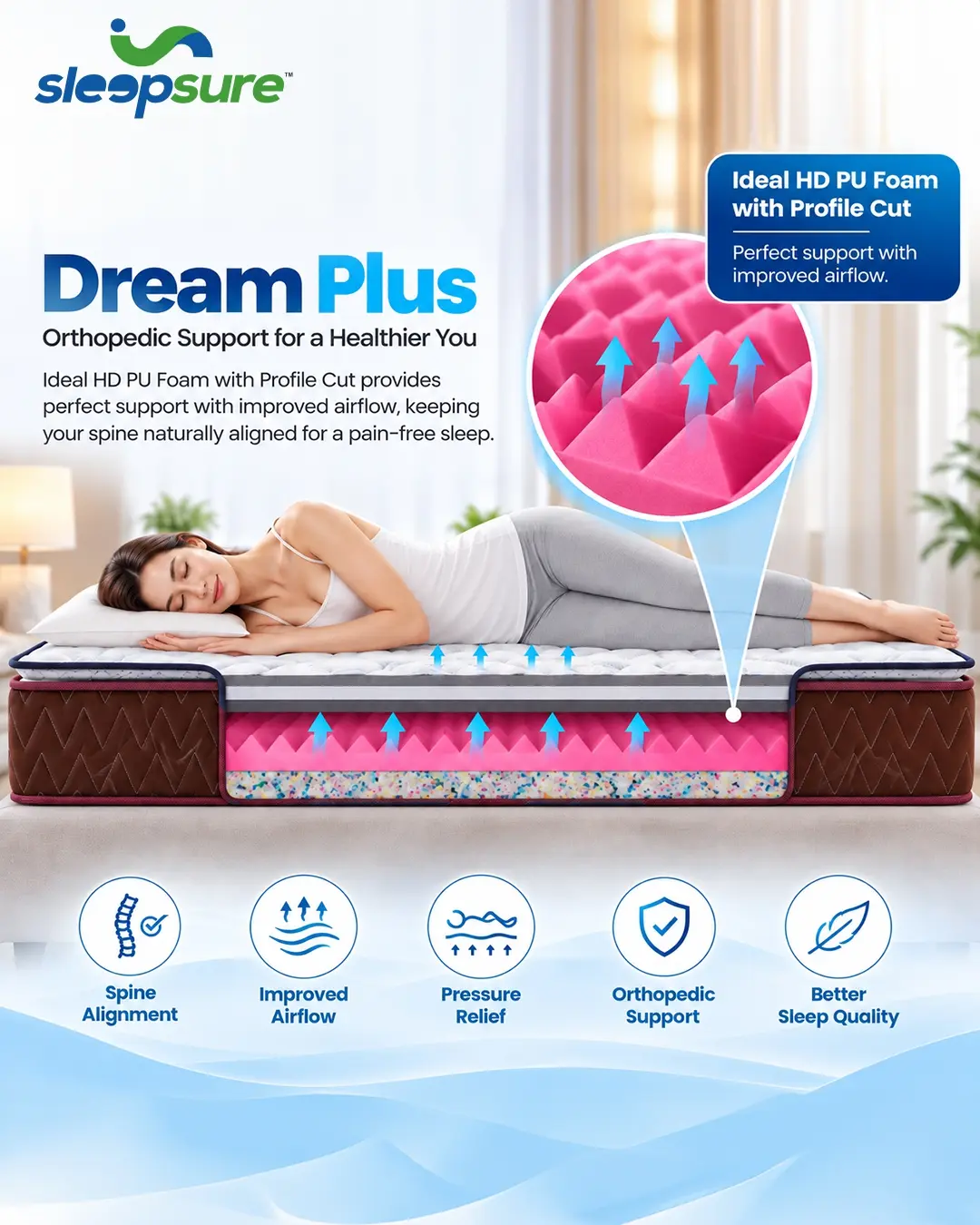 DREAM PLUS